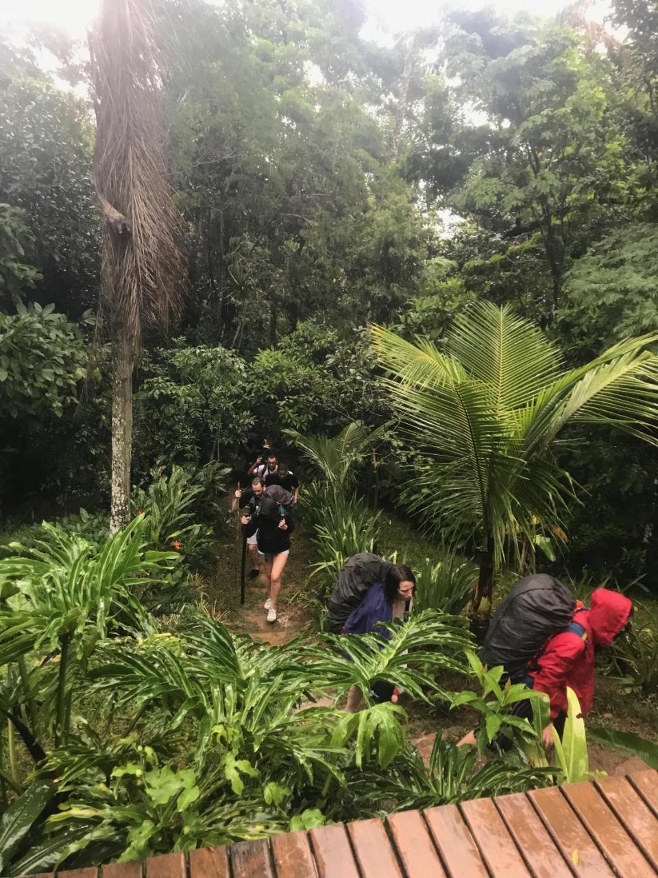 Pousada Rainforest House - Ilha Grande Eksteriør bilde