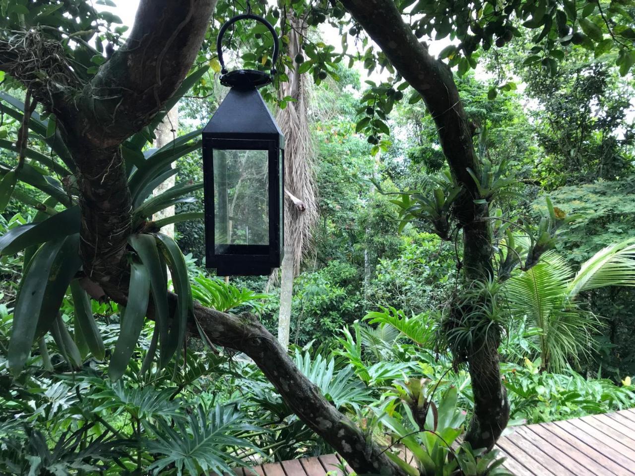 Pousada Rainforest House - Ilha Grande Eksteriør bilde