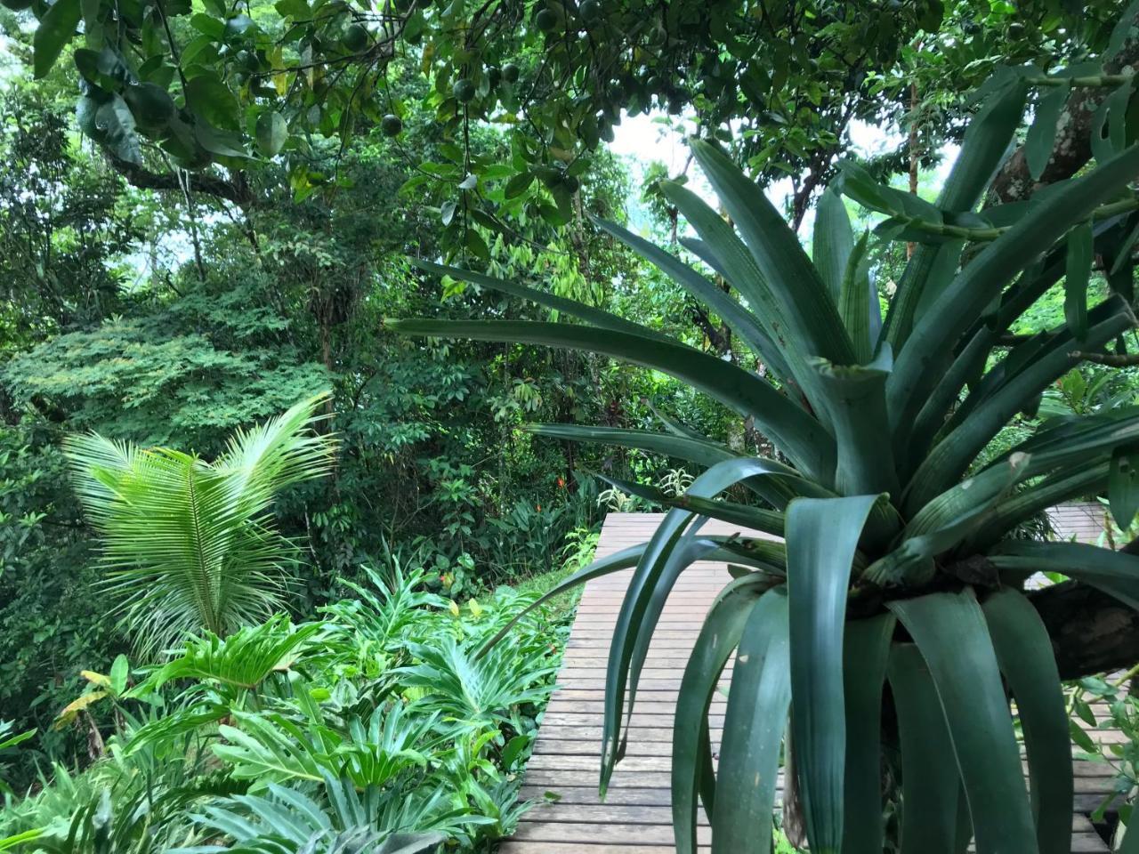 Pousada Rainforest House - Ilha Grande Eksteriør bilde