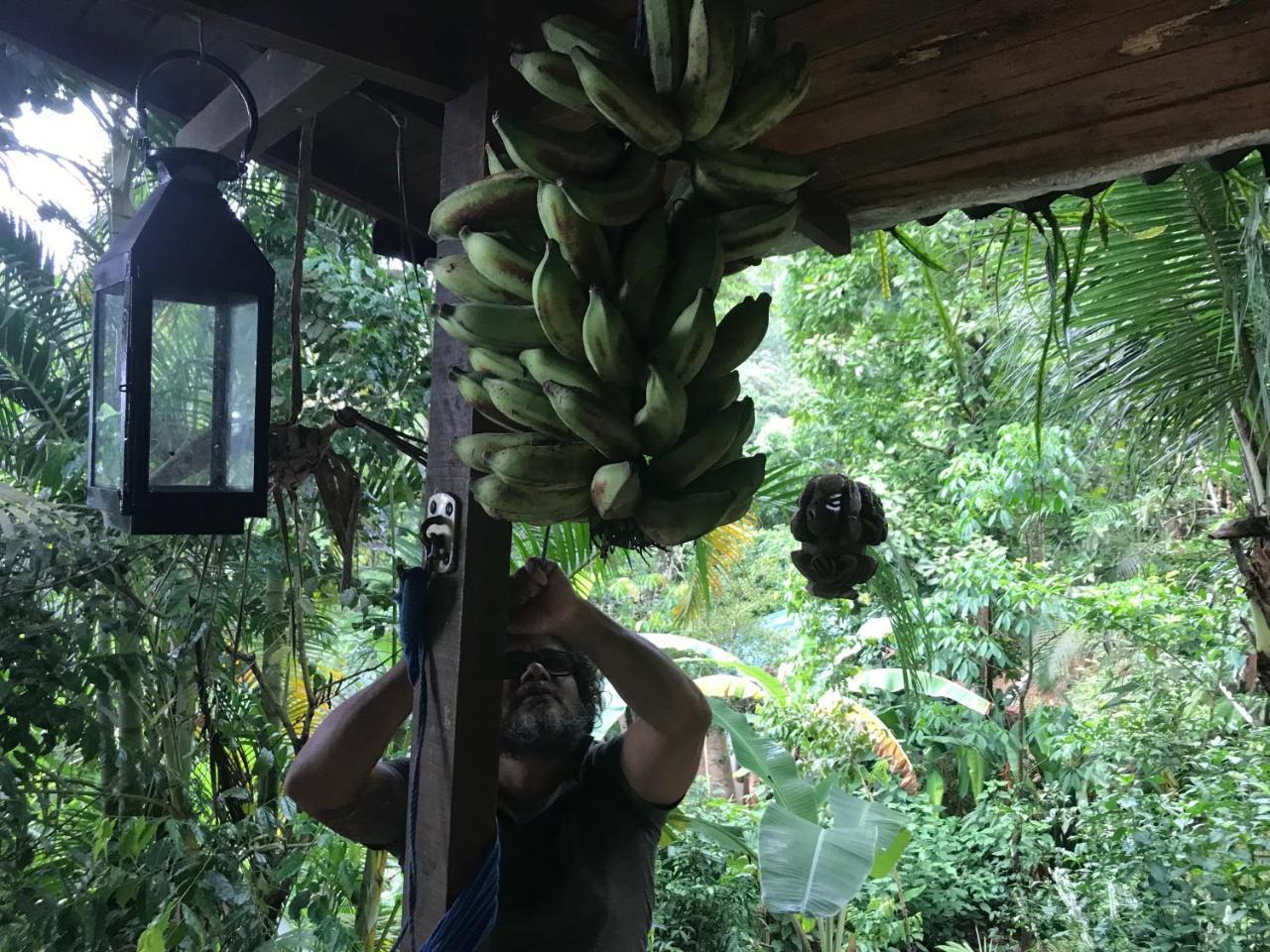 Pousada Rainforest House - Ilha Grande Eksteriør bilde